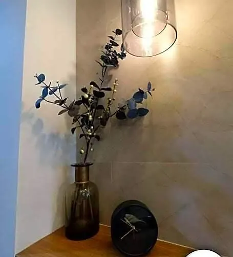 Dm's Place At S Residences Moa Hotel Manila